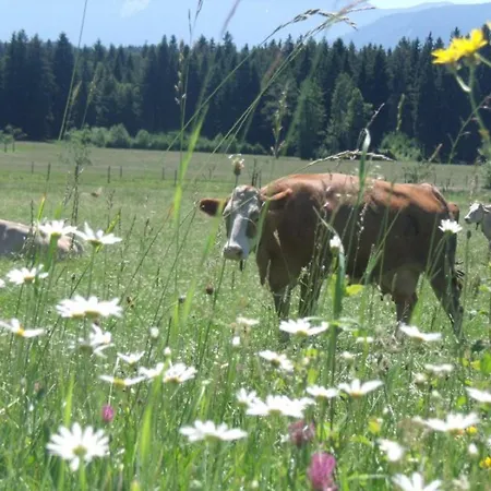 Granerhof Ferien