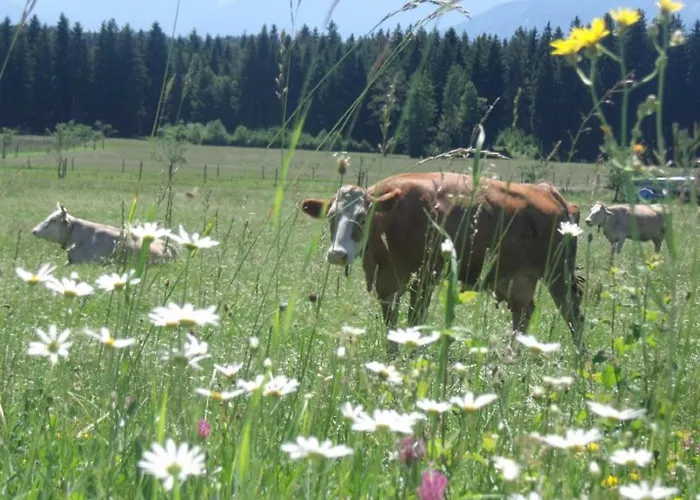 Granerhof Ferien